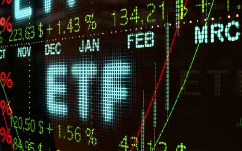 Mastering the Art of Risk Management in Forex Trading